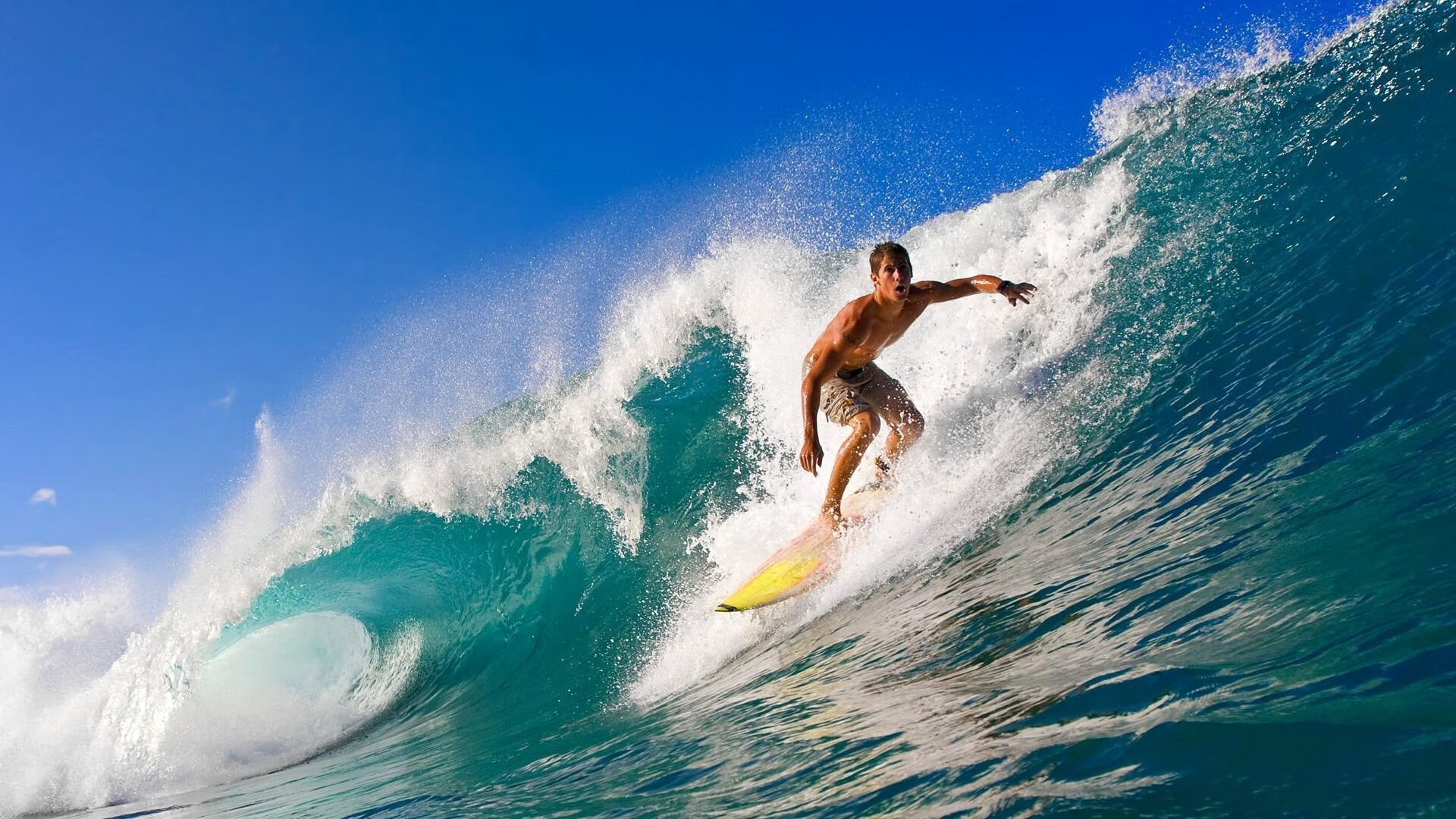 绿茵场上的冰与火之歌，苏格兰冷风险胜塞内加尔热浪