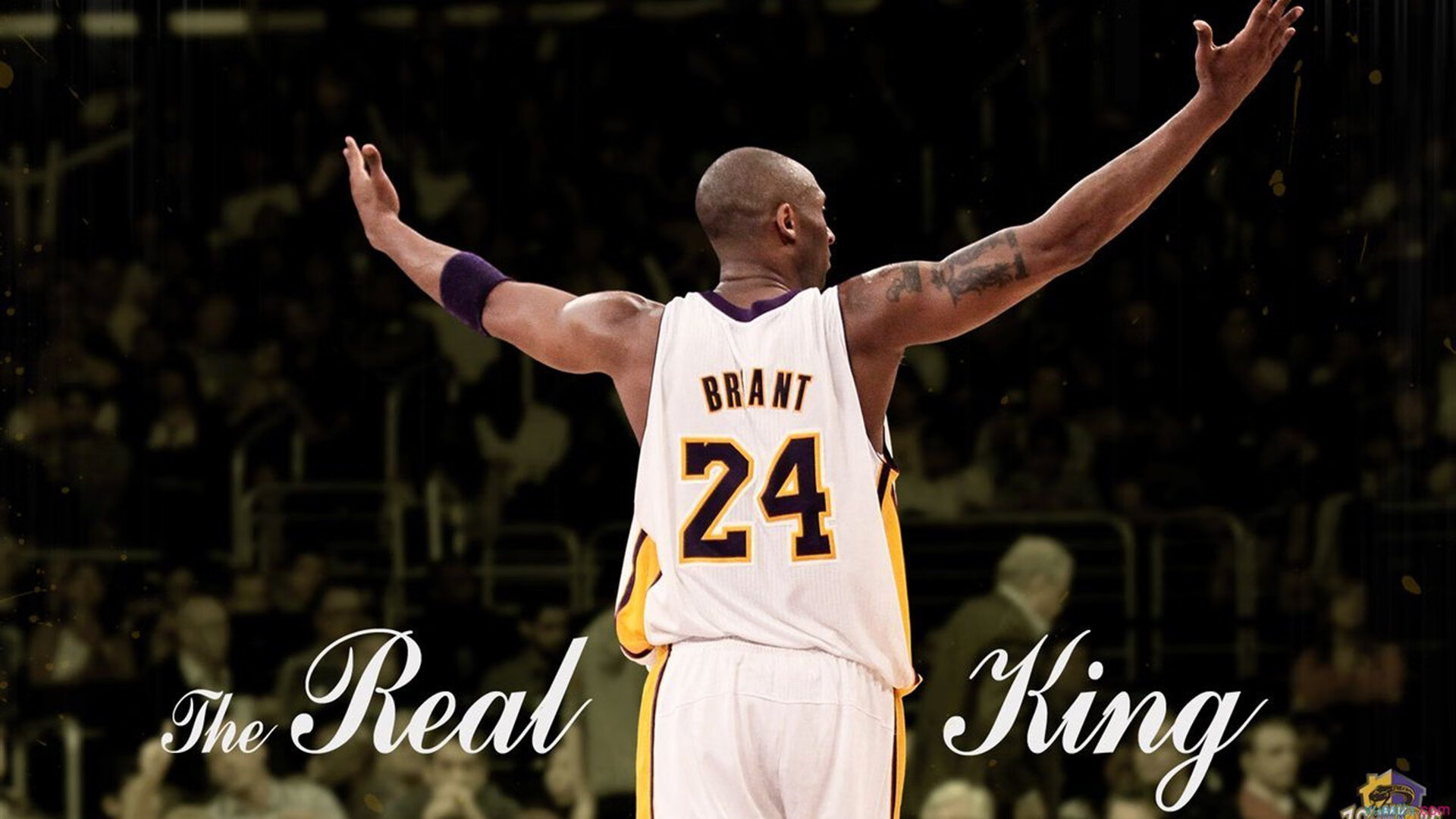 伦纳德关键一击定乾坤，公牛提前终结悬念辽宁队无缘决赛